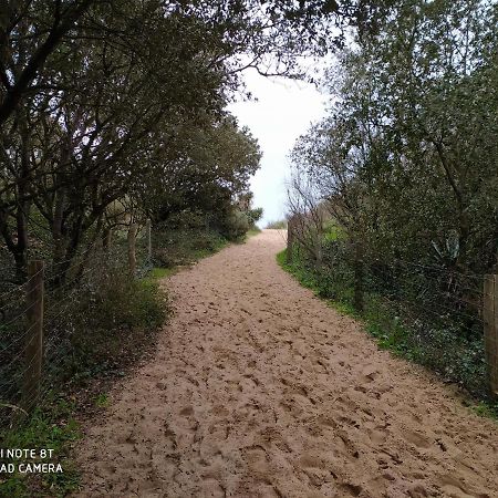 Logement 88 2-4 Personnes 500 M Plage Classe 2 Etoiles Dolus d'Oléron Εξωτερικό φωτογραφία